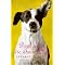 Favourite Dog Books