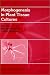 Image: Shopper's Delight: Morphology & Anatomy in The Books Store ~ Morphogenesis In Plant Tissue Cultures