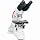 Ken-A-Vision T-19031C Comprehensive Scope 2 - Cordless Binocular Compound Microscope, 10× Eyepiece