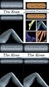 Power Precision Series: Medical Assessment, Massage & Treatment of the Knee - 3 DVD / 6 Volume Set By Dr. Ben Benjamin - Bonus Essential Principles DVD Included