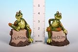 Porcelain Frog Sitting On Welcome Stone