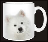 SAMOYED Face Coffee Mug