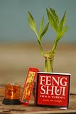 Feng Shui Kit