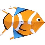 Clown Fish