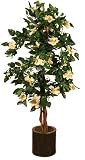 5ft Hibiscus  - White - Artificial Plant
