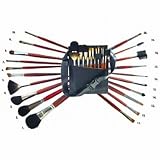 Fantasea 20 Piece Cosmetic Brush Set With Pouch
