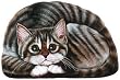 STRIPED TABBY KITTY WEIGHT