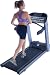 The L7 Club Executive Trainer Treadmill offers a computer animated video display with state-of-the-art workout graphics. Features include built in programs, user programs, and wireless interactive heart-rate control. :Landice treadmills have over 35 years field experience in the harshest club environments. The Club Series represents the culmination of this experience. Using the latest in engineering technology, uncompromised materials, and old-fashioned American craftsmanship, these treadmills offer the features and dependability todays high volume health clubs demand. :The Executive Trainer control panel offers a computer-animated video display with state-of-the-art workout graphics. Features include built-in programs, user programs, and wireless interactive heart rate control. The Executive Trainer keeps you motivated with the most interactive graphic display on the market today. It comes with a 5 Year High Volume Health Club Commercial Warranty (5 year parts / 1 year labor)