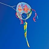 Disc Kite