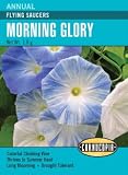 Morning Glory Flying Saucers Seeds