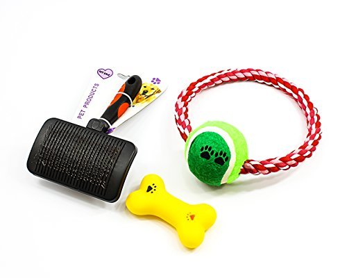 Where To Buy Blowout Sale Dog Hair Brush Pet Grooming Free Toys