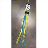 NASCAR Carl Edwards #99 Wind Sock