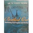 Birthed Out (Manifesting Your Purposes and Destiny)