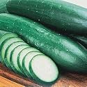 Burpless Bush Slicing Cucumber Seeds