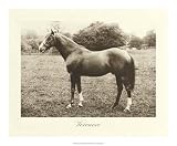 Veronese - Clarence Hailey Art Print Poster 20 x 16