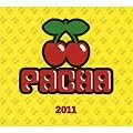 Pacha 2011