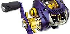 ダイワ(Daiwa) TDジリオンPEスペシャル 100H