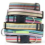 Barker & Meowsky Tan Millie Designer Dog Collar - Medium