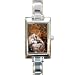 Limited Edition Violano Italian Charm Rectangle Watch Autumn Wolf Wildlife