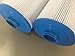 Guardian Filtration Products Spa Filter Cartridge 6H9-113-02 Two-Pack Replacement for Unicel 6CH-960, Pleatco Pjw60TL-F2S, Filbur FC-2800