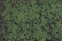 Clump Foliage, Medium Green 3qt