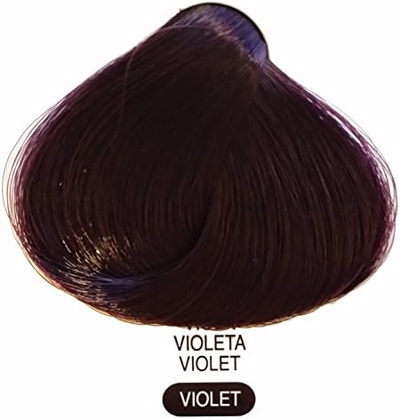 Terme Professional Permanent Hair Coloring Cream 100ml Violet