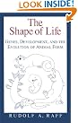 The Shape of...