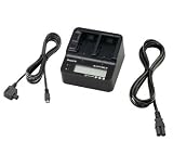 Sony ACVQV10 AC Adaptor/Charger (Black)