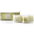 Frasier Fir 2 Candle Set