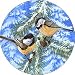 Little Feathers Spare Tire Cover