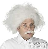 Adult Albert Einstein Costume Wig