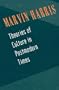 Theories of Culture in Postmodern Times
