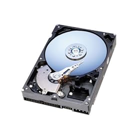 WesternDigital 40GB EIDE ULTRA/ATA-100 5400 RPM Internal Hard Drive ( WD400EB )