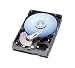 WesternDigital