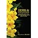 Herbs & Influenza:  How Herbs Used in the 1918 Flu Pandemic Can Be Effective Today