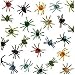 ~ 12 ~ Spiders ~ Approx. 2 Inch Plastic ~ New ~ Science, Insects, Halloween Table Sprinkles