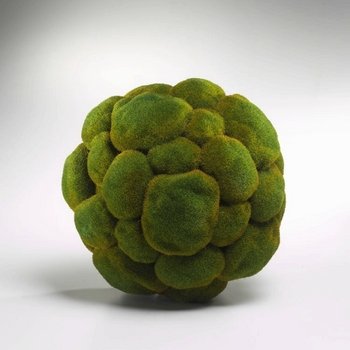 Cyan Lighting 01768 Moss Sphere, Moss Green Finish 