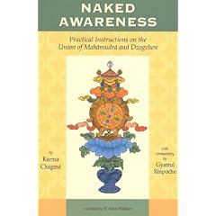 Naked Awareness: Practical Instructions on the Union of Mahamudra and Dzogchen