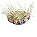 Flowered Straw Beachcomber Hat