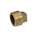 Everflow BRPL0018-NL 1/8-Inch Male National Pipe Taper Threads Brass Cored Plug with Square Head, Lead Free Brass Pipe Fitting, Higher Corrosion Resistance, Economical & Easy to Install