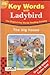 Book The Big House (Ladybird Key Words Reading Scheme)