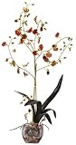 Nearly Natural 1054-I-BR Oncidium Liquid Illusion Silk Orchid Plant Burgandy