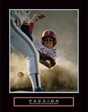 Passion: Baseball,22 in. x 28 in.