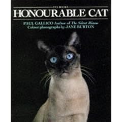 Honourable Cat