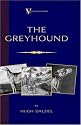 The Greyhound; Its History, Points, Breeding, Rearing, Training and Running (A Vintage Dog Books Breed Classic)
