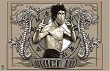 BRUCE LEE CIRCLE OF POWER POSTER 22.5" x 34" #1071