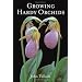 Orchids are so Beautiful