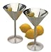 RSVP International Endurance Stainless Steel Martini Glasses Set of 2