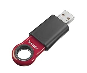 Amazon.com: SanDisk SDCZ12-2048-A11A C
