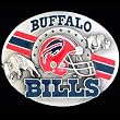 Buffalo Bills 3-D Team Magnet - NFL Football Fan Shop Sports Team Merchandise